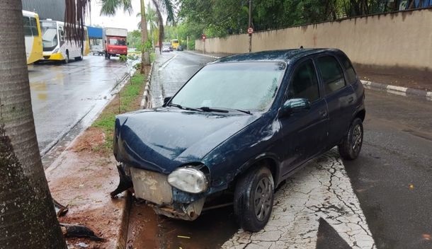 Motorista perde o controle e bate contra coqueiro