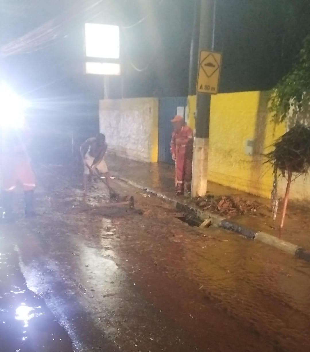 Chuva causa alagamento e queda de arvore em Martim